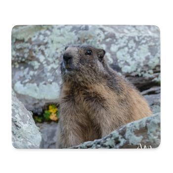 Murmeltier Porträt 6 - Alpen Deko und Geschenkidee - Mousepad (Querformat) - Weiß - Vorne