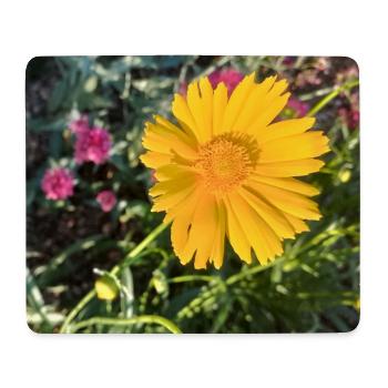 Sonnenstrahl Gelb Blüte / Mädchenauge - Mousepad (Querformat) - Weiß - Vorne