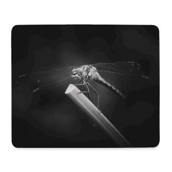 Libelle Insekt Nahaufnahme Poster - Mousepad (Querformat) - Weiß - Vorne
