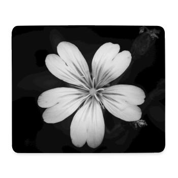 Weiße Blume Ackerhornkraut, Acker-Hornkraut Poster - Mousepad (Querformat) - Weiß - Vorne