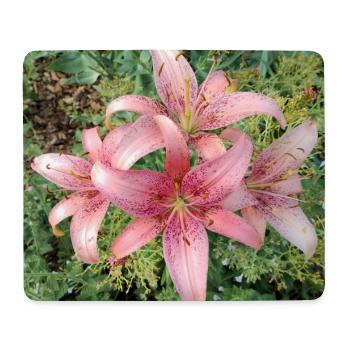 Rosa Lilienblüten - Mousepad (Querformat) - Weiß - Vorne