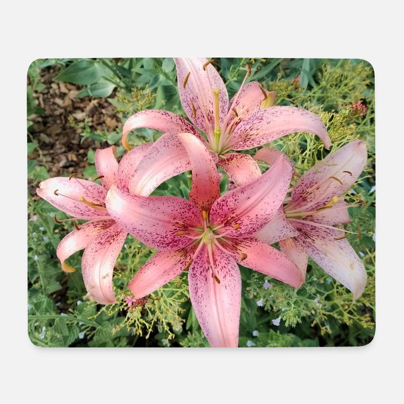 Rosa Lilienblüten - Mousepad (Querformat) - Weiß