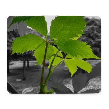 Grünes Blatt im Graustufen-Kontrast - Mousepad (Querformat) - Weiß - Vorne
