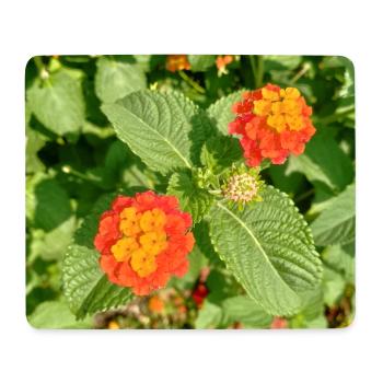 Blühender Garten – Farbenfrohe Stimmung - Mousepad (Querformat) - Weiß - Vorne