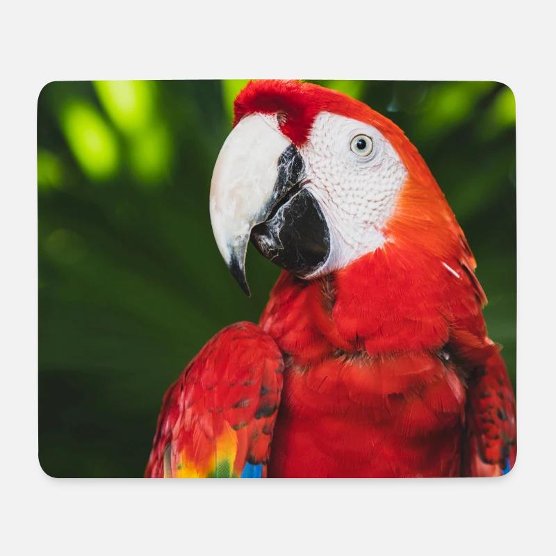 Tropische Farben des Macau-Aras - Mousepad (Querformat) - Weiß