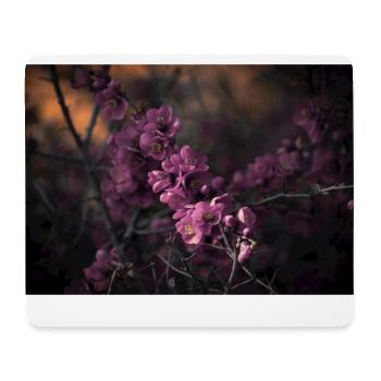 pinke Blüten fine art Fantasie dunkel - Mousepad (Querformat) - Weiß - Vorne
