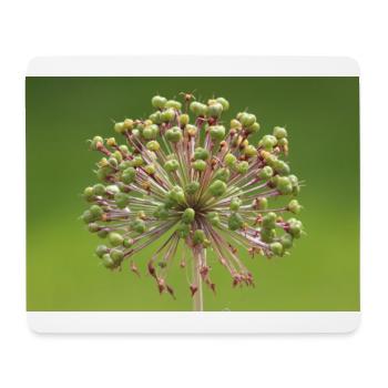 Fleur verte - tir de la nature - Tapis de souris (format paysage) - blanc - Devant