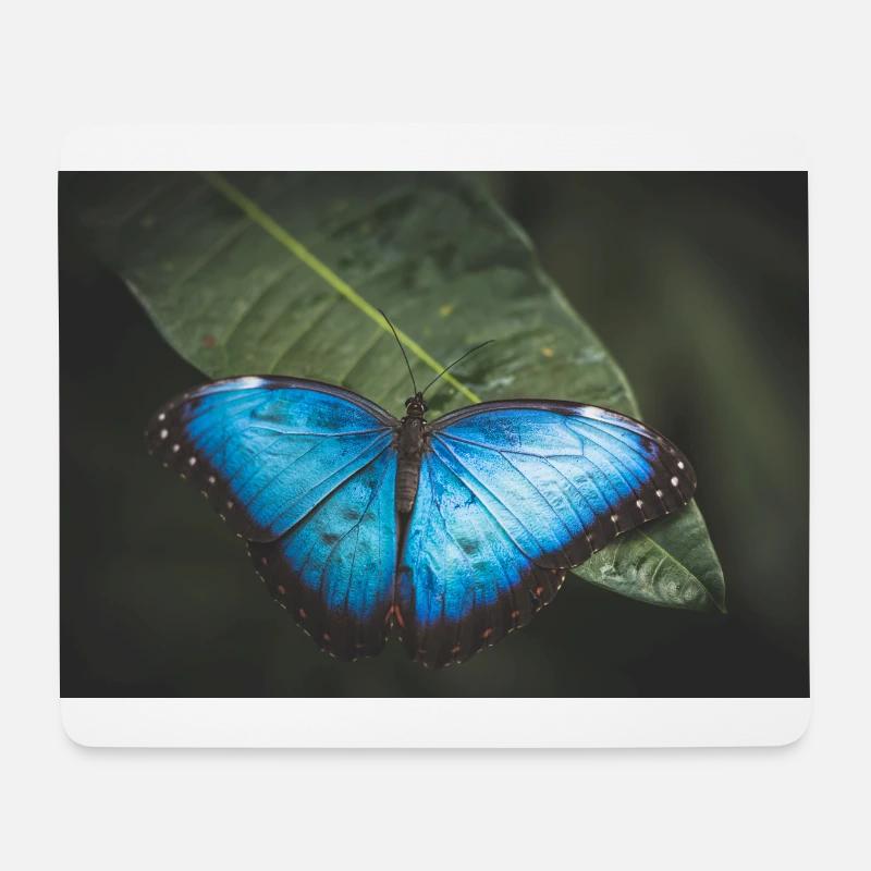 Schmetterlingsaufnahme aus der Natur - Mousepad (Querformat) - Weiß