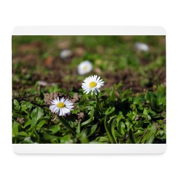 Gänseblümchen - Mousepad (Querformat) - Weiß - Vorne