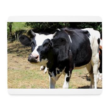 Affiche de vache - Tapis de souris (format paysage) - blanc - Devant