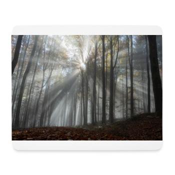 L’éclat de la forêt - Tapis de souris (format paysage) - blanc - Devant