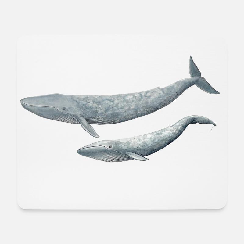 Blue Whale - Blue Whale - Baleine bleue - Mousepad (Querformat) - Weiß