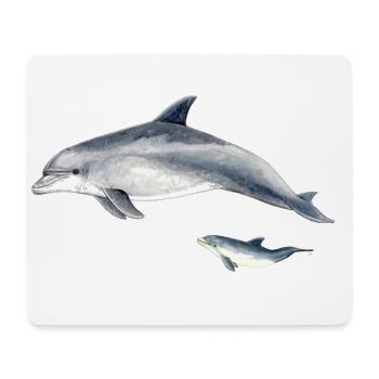Bottlenose dolphin - Grand dauphin - Bottlenose dolphin - Mouse Pad (horizontal) - white - Front