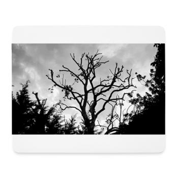 Baum mit seinen kahlen Ästen am Himmel - Mousepad (Querformat) - Weiß - Vorne