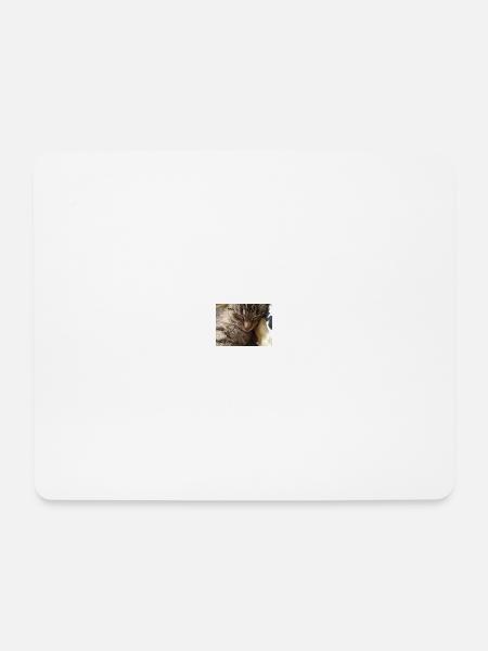 katzen, kätzchen, - Mousepad (Querformat) - Weiß