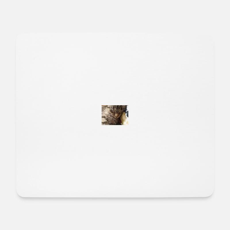 katzen, kätzchen, - Mousepad (Querformat) - Weiß