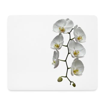 Orchidee - Mousepad (Querformat) - Weiß - Vorne