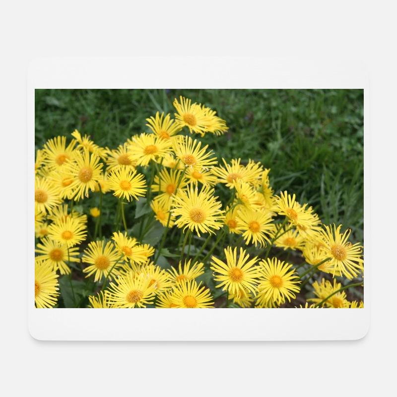 Blumen Gemswurz gelb - Mousepad (Querformat) - Weiß
