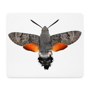 Papillon colibri Macroglossum stellatarum - Tapis de souris (format paysage) - blanc - Devant