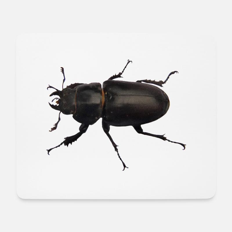 Hirschkäfer Weibchen - Mousepad (Querformat) - Weiß