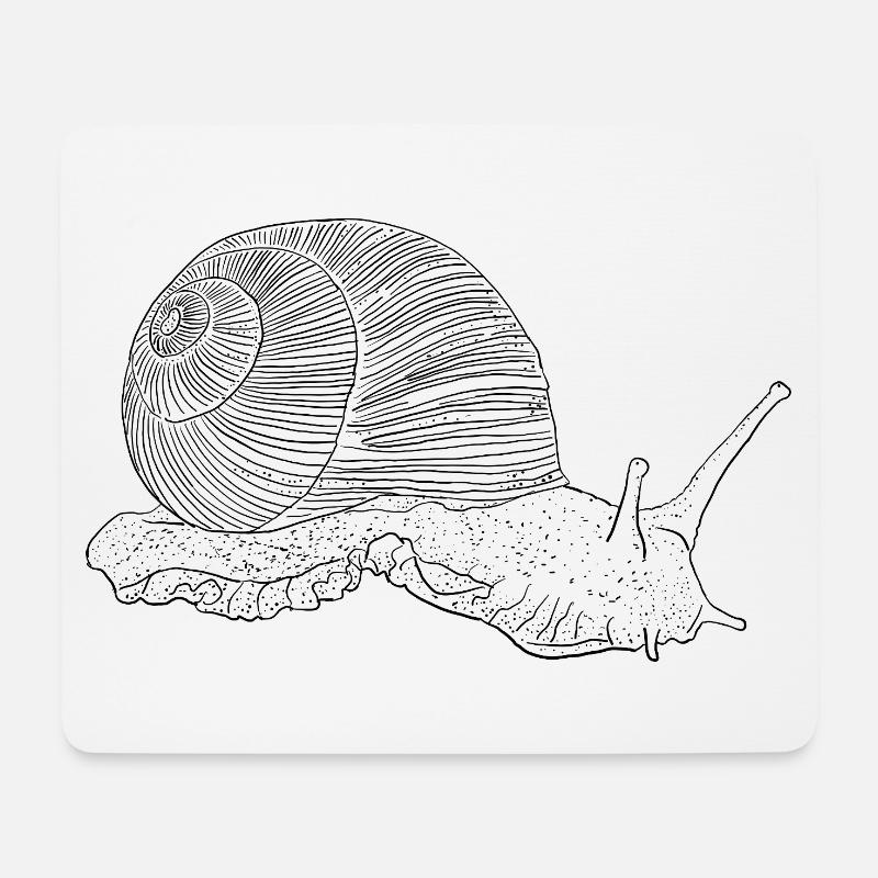 Weinbergschnecke, Tiermotiv handgezeichnet - Mousepad (Querformat) - Weiß