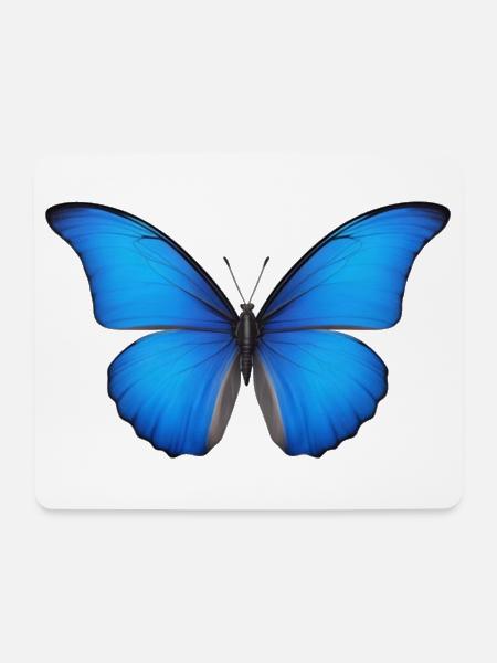 Azurblaue Schmetterlingsflügel - Mousepad (Querformat) - Weiß