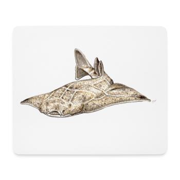 Angelote - Angel shark - Shark - Requin ange - Mouse Pad (horizontal) - white - Front