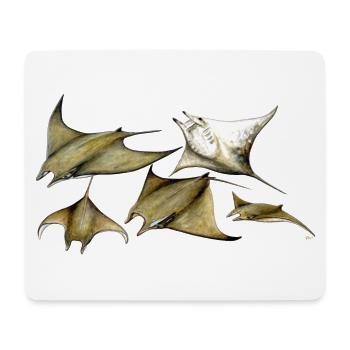 Tarapacana Mobula Stingray - Devil Fish - Raie - Tapis de souris (format paysage) - blanc - Devant
