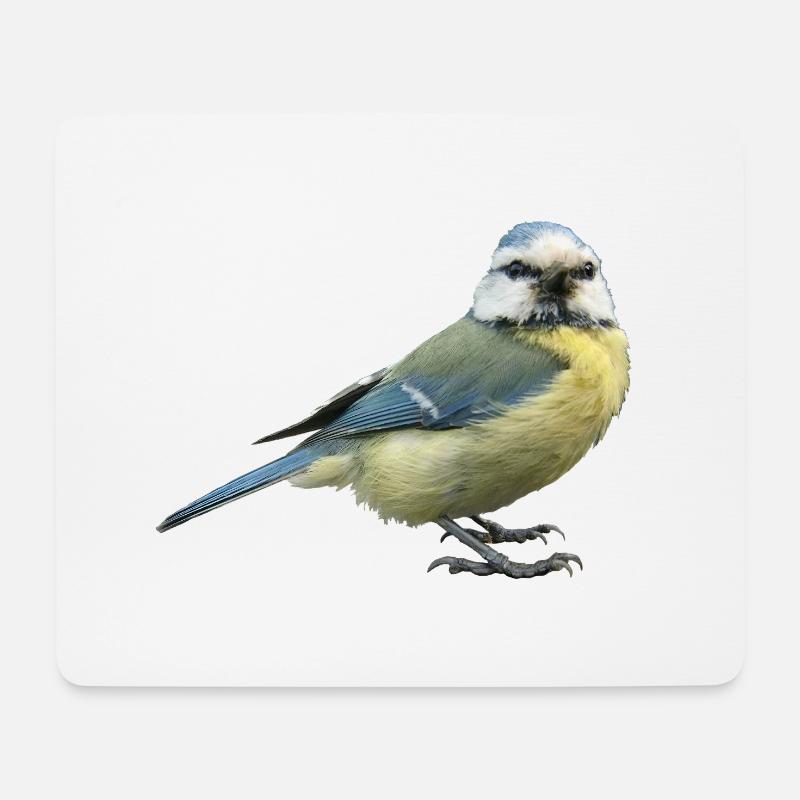 Vogel Blaumeise - Mousepad (Querformat) - Weiß