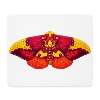 Imperial Moth Eacles imperialis Cartoon Style - Tapis de souris (format paysage) - blanc - Devant