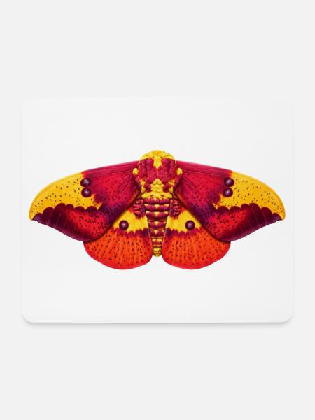 Imperial Moth Eacles imperialis Cartoon-Stil - Mousepad (Querformat) - Weiß