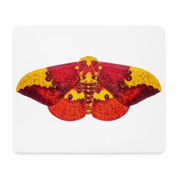 Imperial Moth Eacles imperialis - Tapis de souris (format paysage) - blanc - Devant