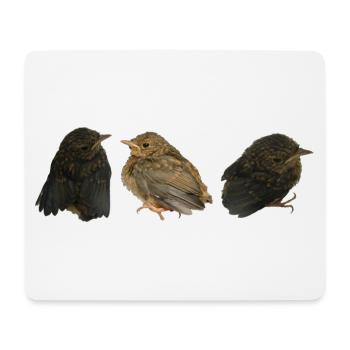 Robin Branches - Mouse Pad (horizontal) - white - Front