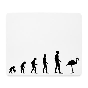 Flamingo – Evolution - Mousepad (Querformat) - Weiß - Vorne