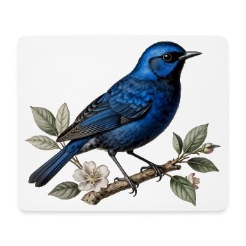 Blauer Vogel Splendid Merion (Malurus splendens) - Mousepad (Querformat) - Weiß - Vorne