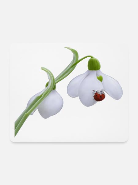 Schneeglöckchen-Marienkäferblüte - Mousepad (Querformat) - Weiß