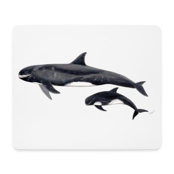 Pygmy killer whale - Pygmy killer whale - Orque pygmée - Mouse Pad (horizontal) - white - Front