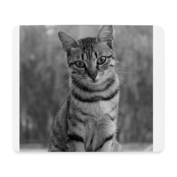 schwarzweiße Katze  - Mousepad (Querformat) - Weiß - Vorne