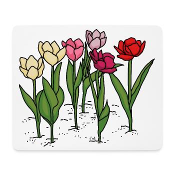 Tulpen im Frühling - Mousepad (Querformat) - Weiß - Vorne