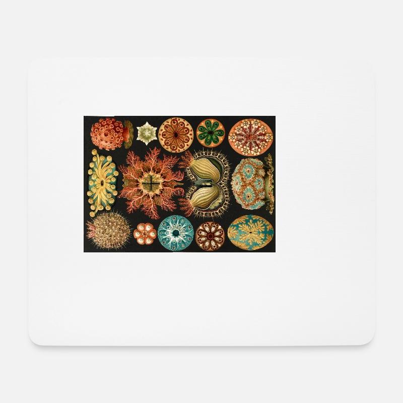 Ernst Haeckel - Ascidiae. Um 1900. - Mousepad (Querformat) - Weiß