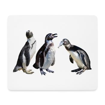 Spectacled penguin, penguin with fish, Africa animals - Mouse Pad (horizontal) - white - Front