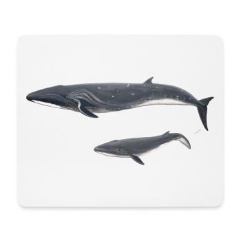 Whale whale Balaenoptera borealis - Mouse Pad (horizontal) - white - Front