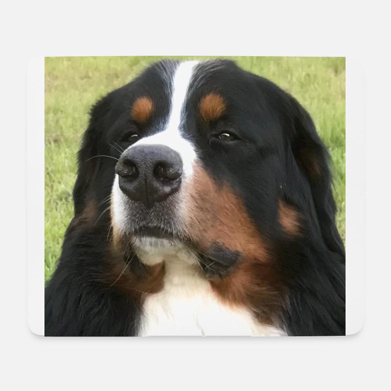 Bernersennehund - Mousepad (Querformat) - Weiß