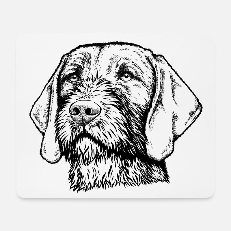 Magyar Viszla Drahthaar 01 s - Mousepad (Querformat) - Weiß