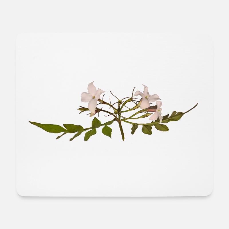 Jasminblüte - Mousepad (Querformat) - Weiß