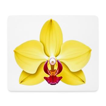orchidée - Tapis de souris (format paysage) - blanc - Devant
