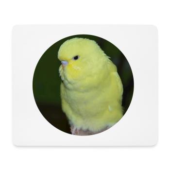 Wellensittiche gelber Wellensittich Sittich - Mousepad (Querformat) - Weiß - Vorne