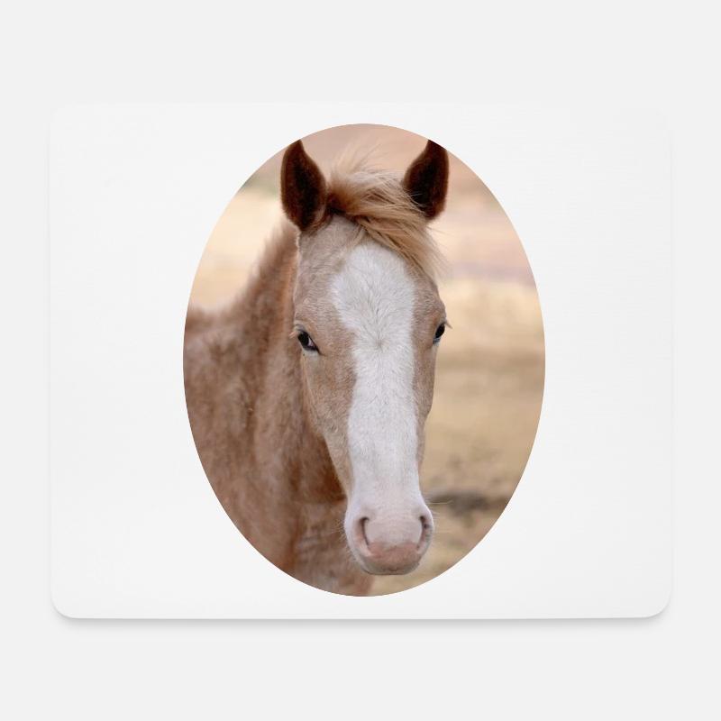 junges Pferd Fohlen - Mousepad (Querformat) - Weiß