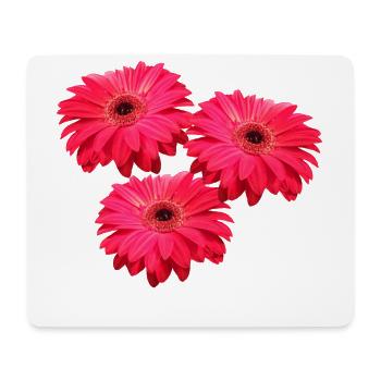 blühende Gerbera Blume Gerberas Blüten floral - Mousepad (Querformat) - Weiß - Vorne