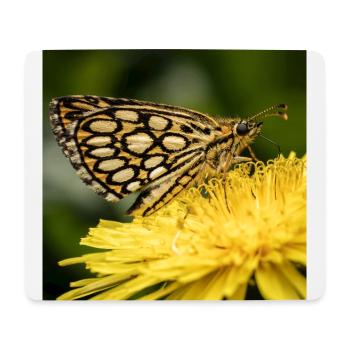 Tir papillon - Tapis de souris (format paysage) - blanc - Devant